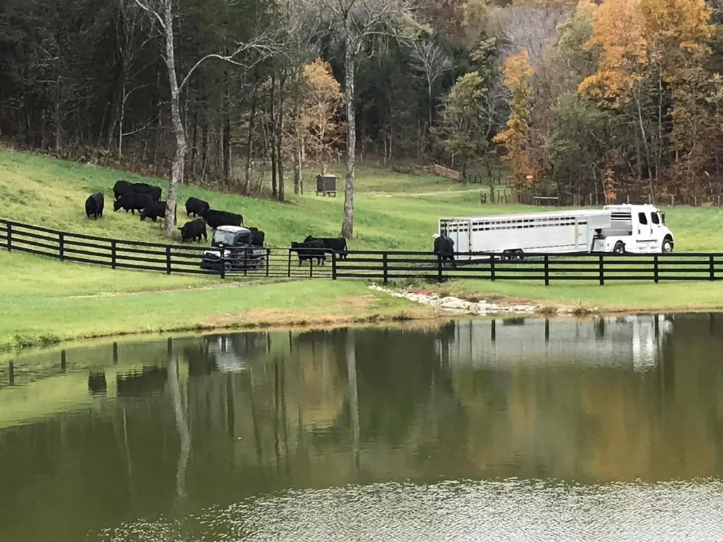 960 Jack Rakes Road Bradfordsville KY 40009