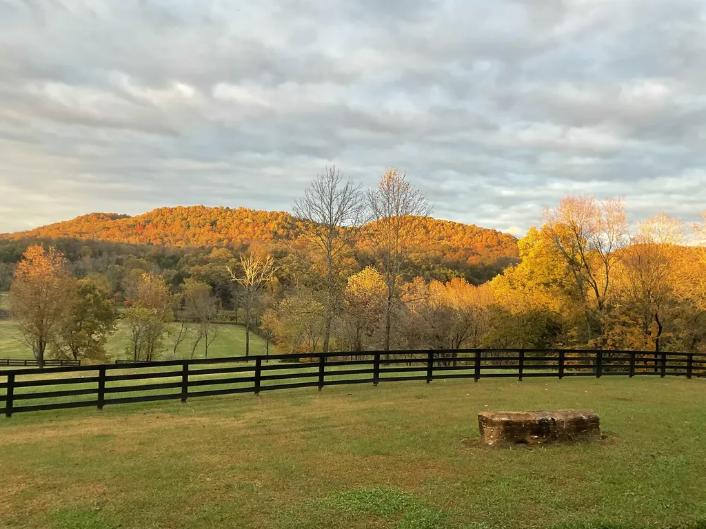 960 Jack Rakes Road Bradfordsville KY 40009