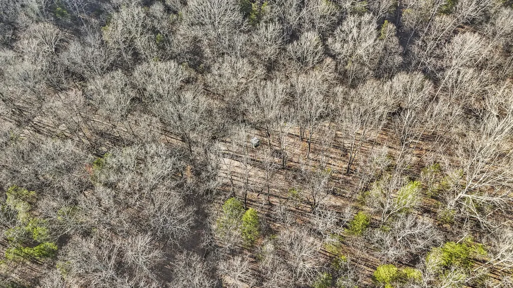 7515 Georgetown Road Owenton KY 40359
