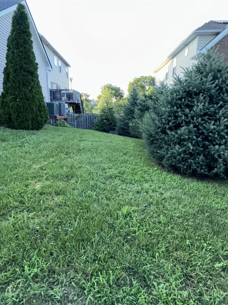 3784 Blue Bonnet Drive Lexington KY 40514