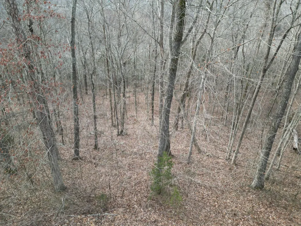 26 Colonel Drive Burnside KY 42519