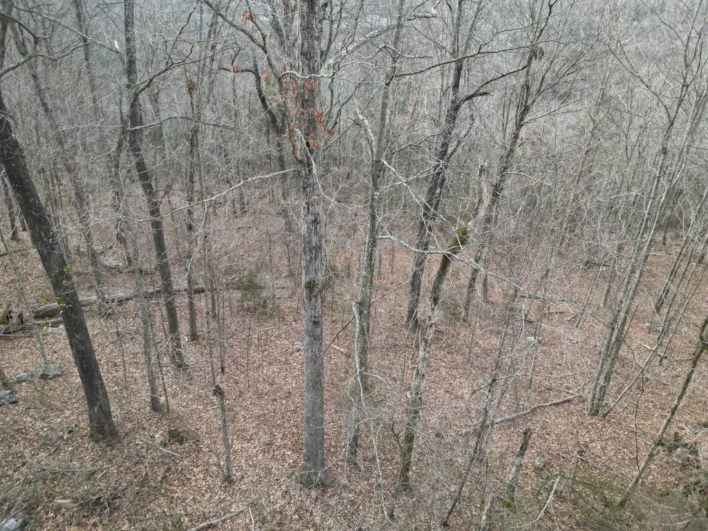 26 Colonel Drive Burnside KY 42519