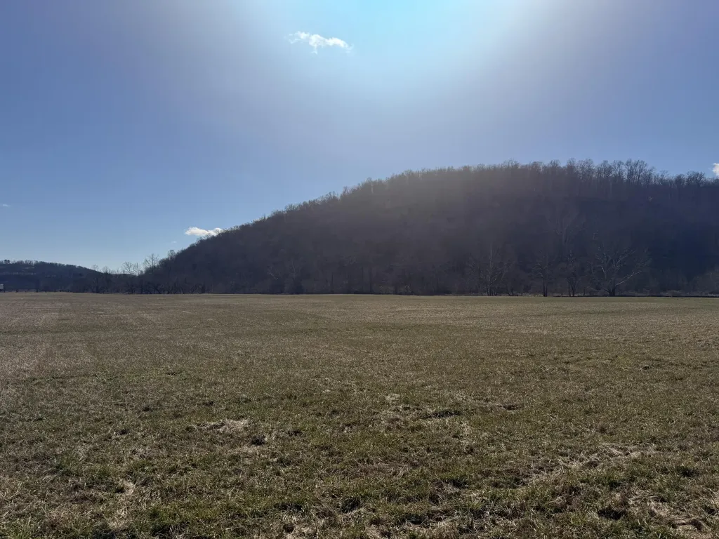 658 Wildie Road Mt Vernon KY 40456