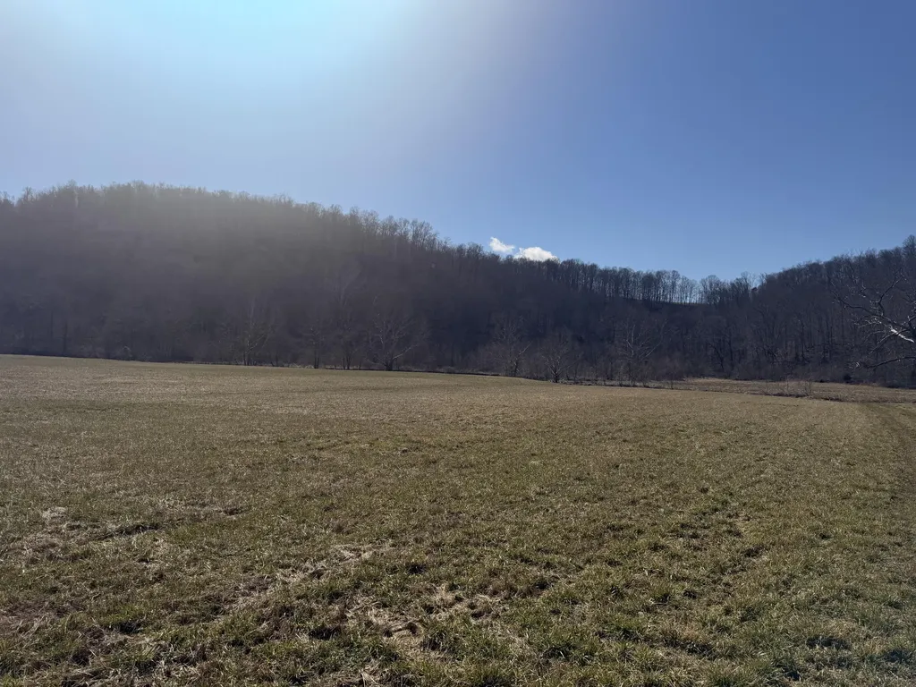 658 Wildie Road Mt Vernon KY 40456