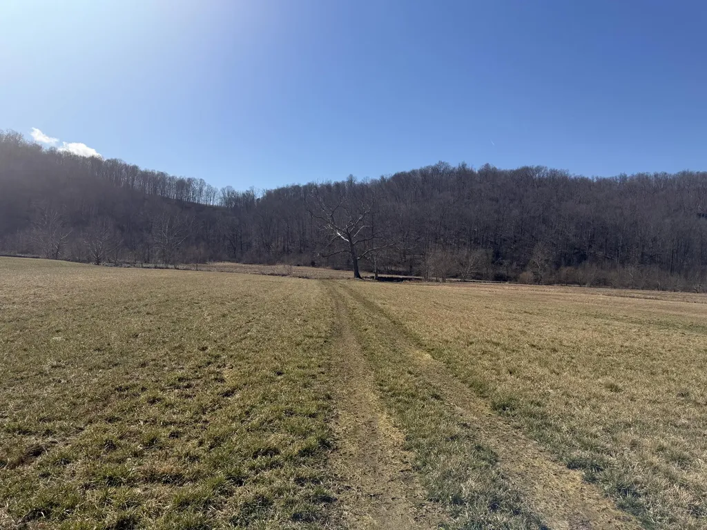 658 Wildie Road Mt Vernon KY 40456