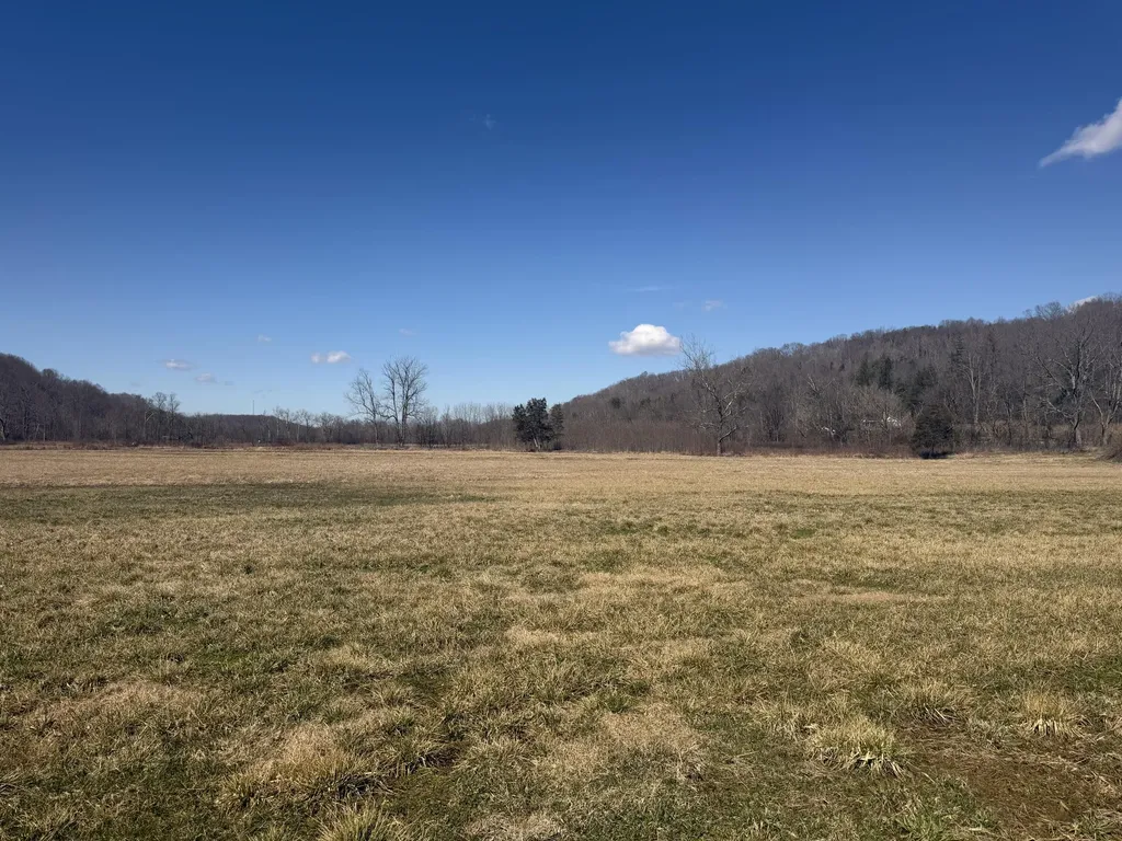 658 Wildie Road Mt Vernon KY 40456
