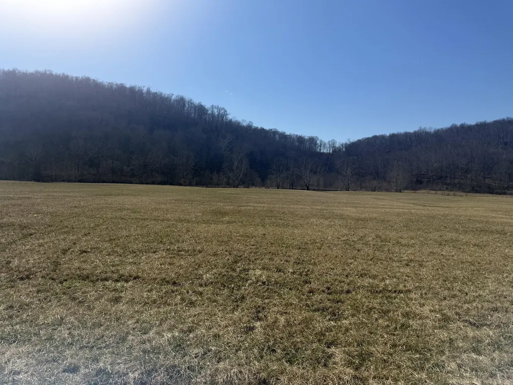 658 Wildie Road Mt Vernon KY 40456