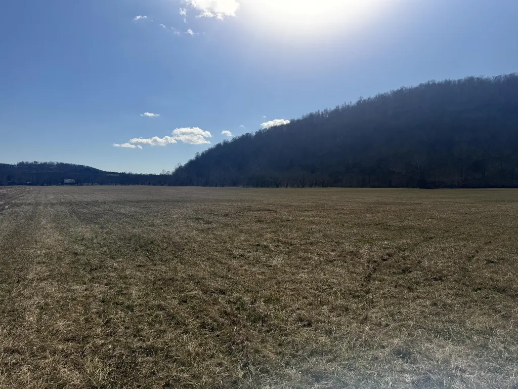 658 Wildie Road Mt Vernon KY 40456