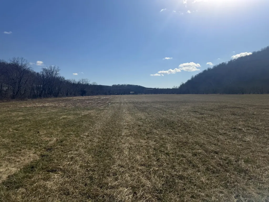 658 Wildie Road Mt Vernon KY 40456