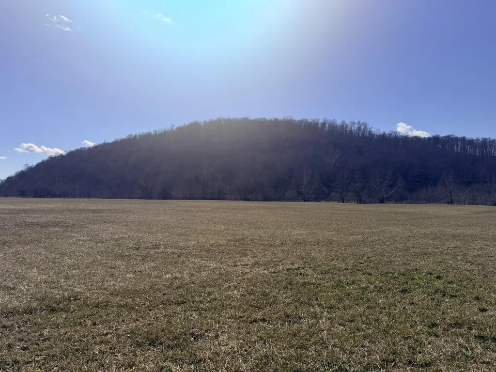 658 Wildie Road Mt Vernon KY 40456