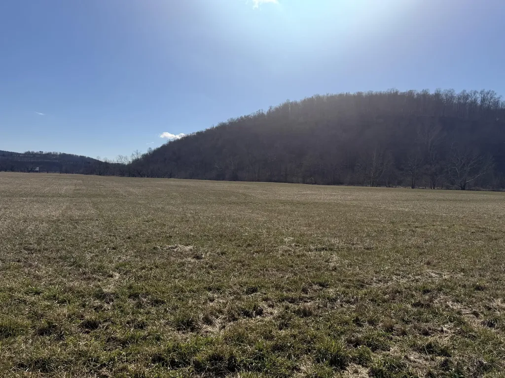 658 Wildie Road Mt Vernon KY 40456
