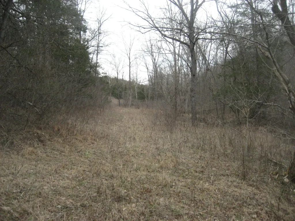 1234 Rutherford School Road Rutherford School Road Lawrenceburg KY 40342