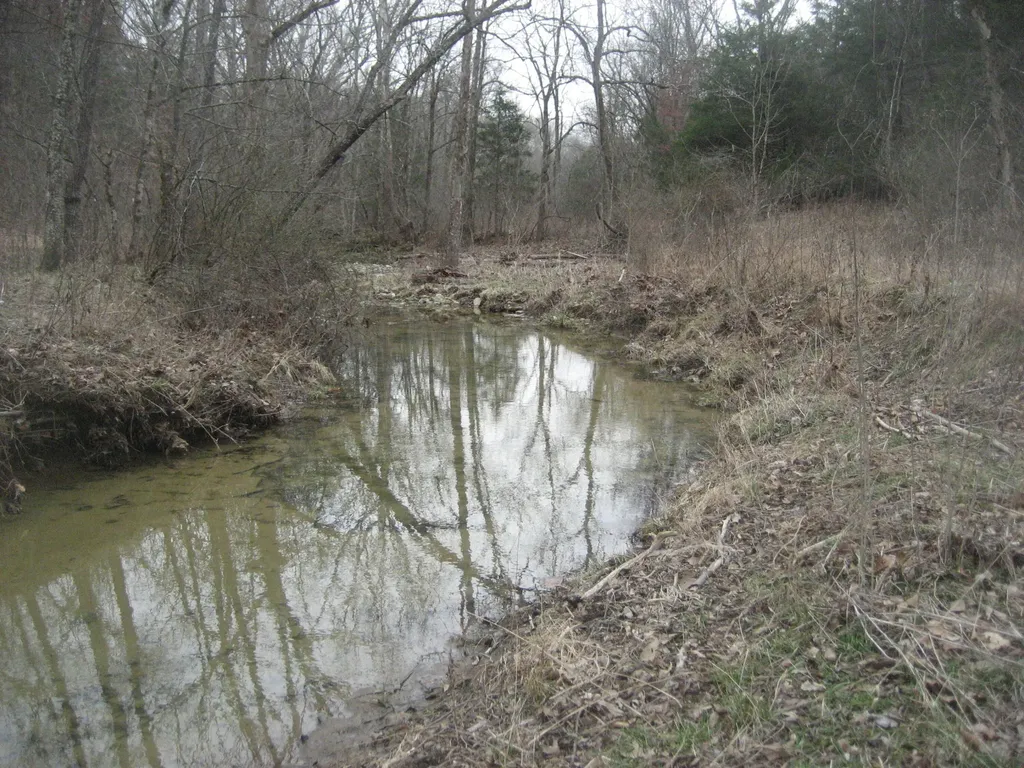 1234 Rutherford School Road Rutherford School Road Lawrenceburg KY 40342