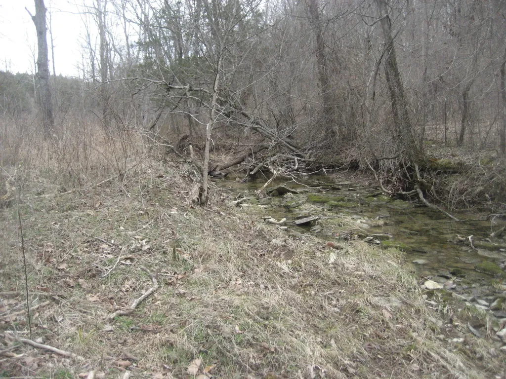 1234 Rutherford School Road Rutherford School Road Lawrenceburg KY 40342