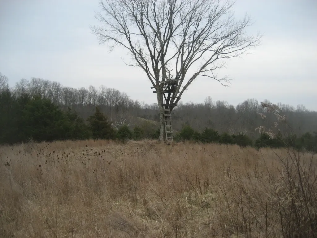 1234 Rutherford School Road Rutherford School Road Lawrenceburg KY 40342