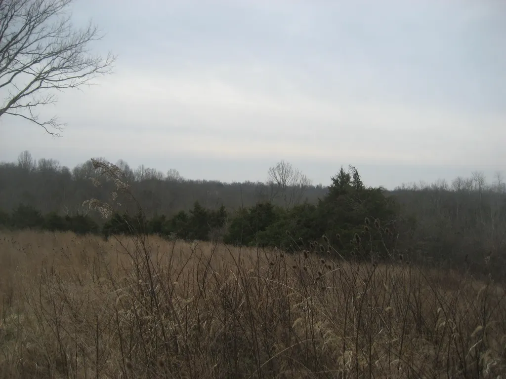 1234 Rutherford School Road Rutherford School Road Lawrenceburg KY 40342