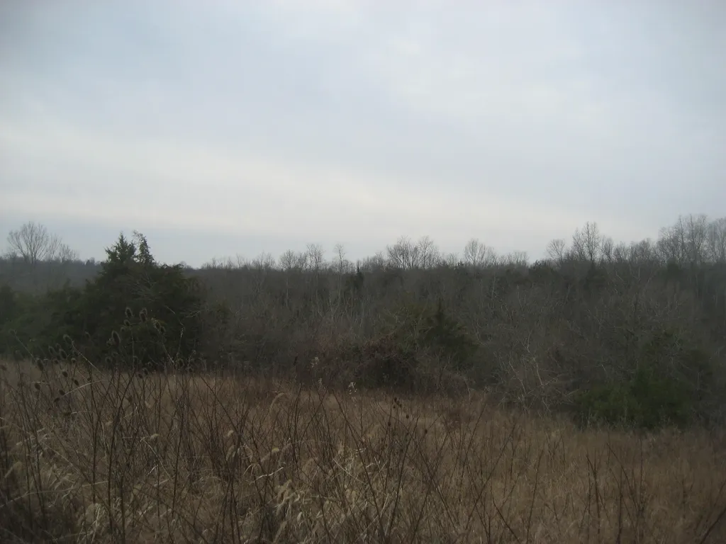 1234 Rutherford School Road Rutherford School Road Lawrenceburg KY 40342