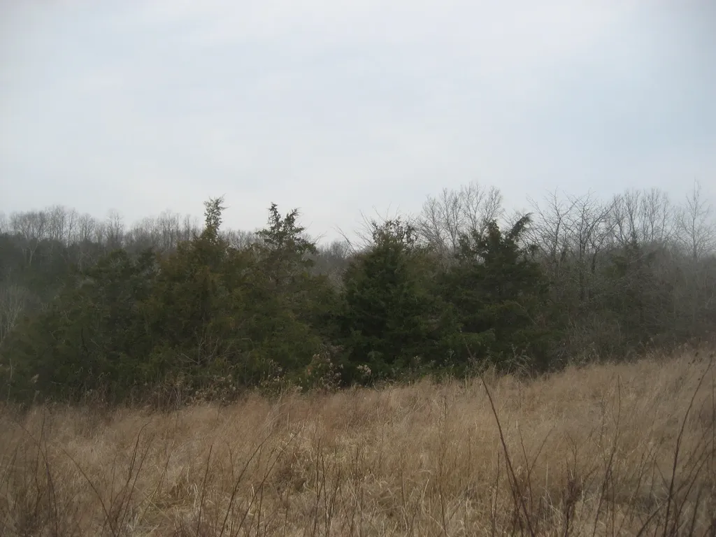 1234 Rutherford School Road Rutherford School Road Lawrenceburg KY 40342