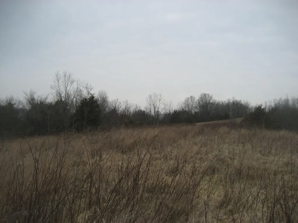 1234 Rutherford School Road Rutherford School Road Lawrenceburg KY 40342