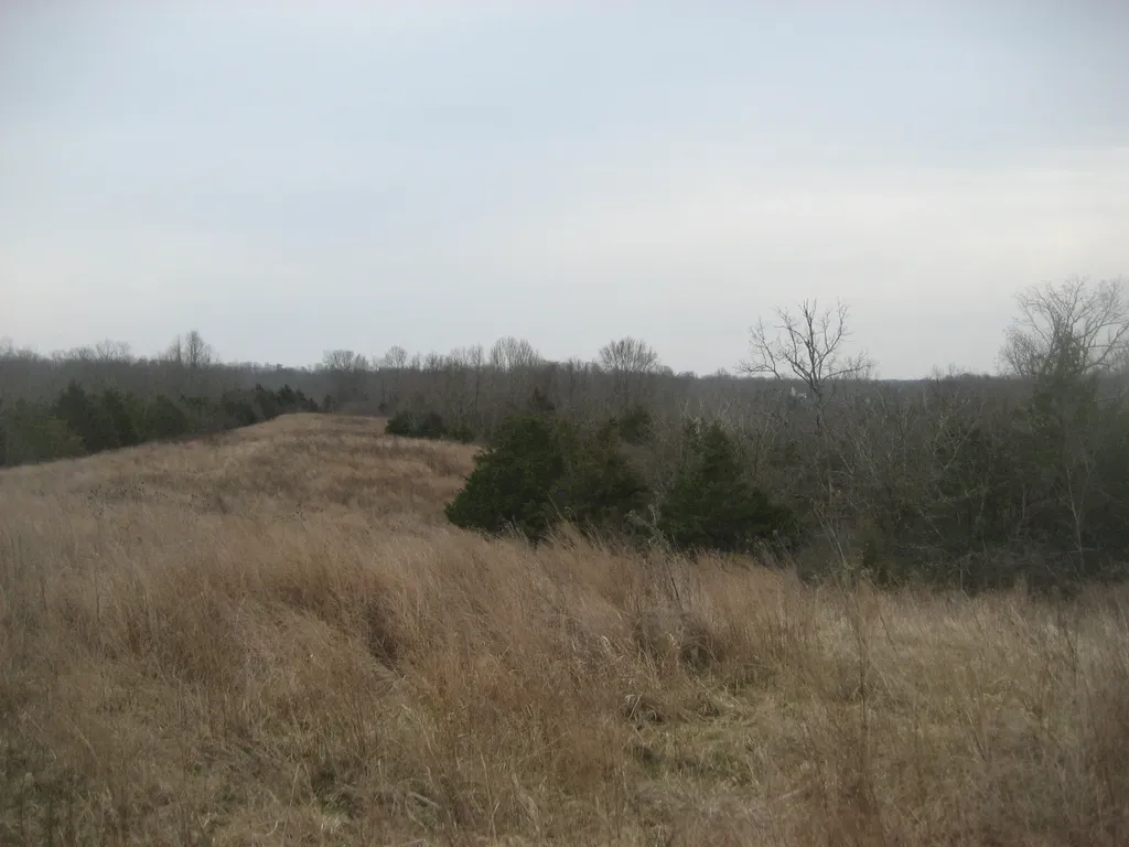 1234 Rutherford School Road Rutherford School Road Lawrenceburg KY 40342