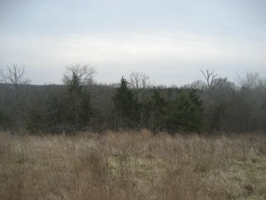 1234 Rutherford School Road Rutherford School Road Lawrenceburg KY 40342