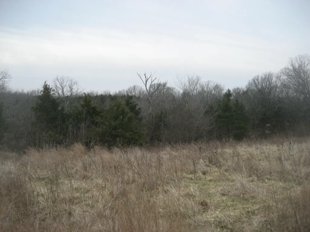 1234 Rutherford School Road Rutherford School Road Lawrenceburg KY 40342