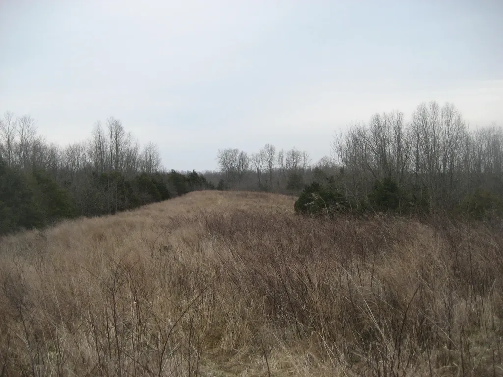 1234 Rutherford School Road Rutherford School Road Lawrenceburg KY 40342