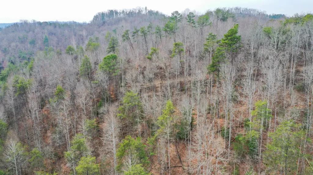 46 Tom Rose Branch Road Campton KY 41301