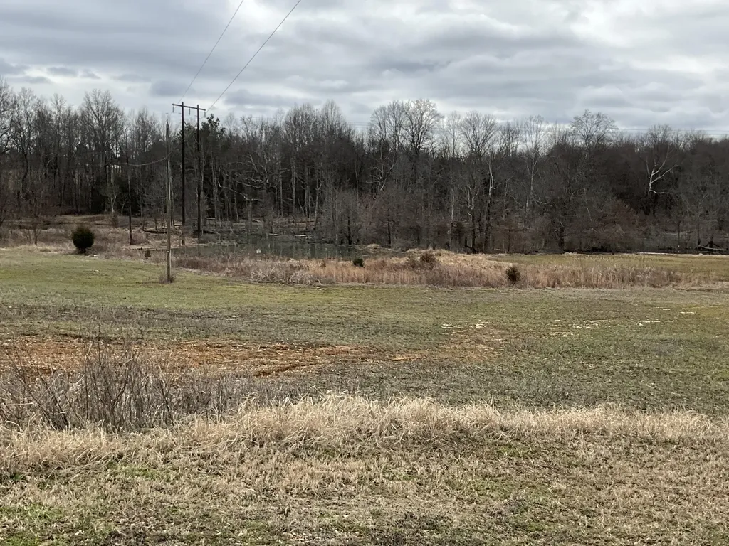 6687 U.s. 27 Science Hill KY 42553