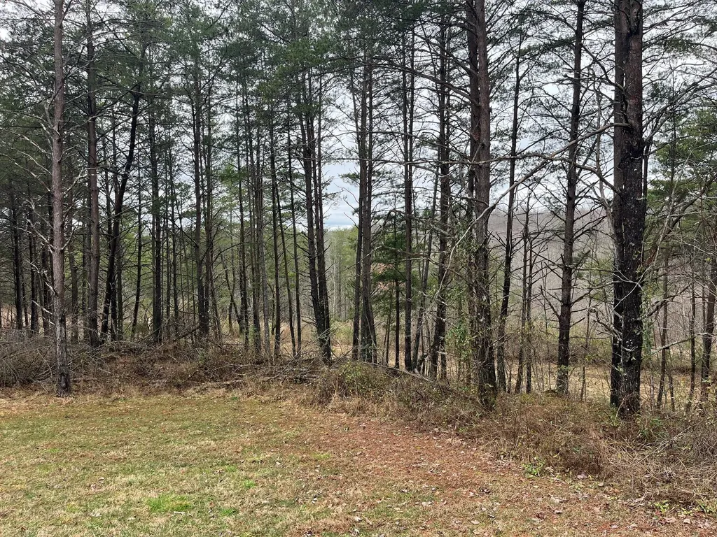 131 Marvins Lane East Bernstadt KY 40729