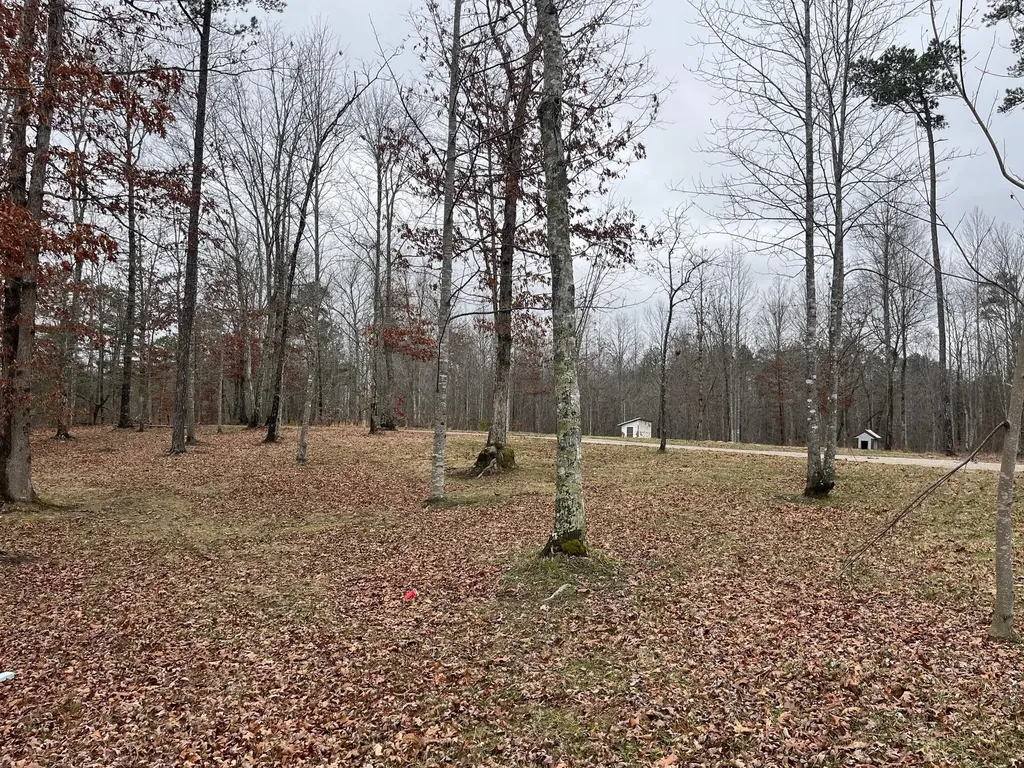 131 Marvins Lane East Bernstadt KY 40729