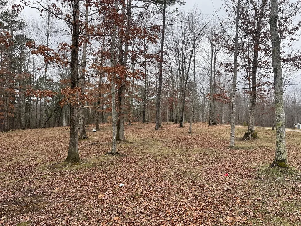 131 Marvins Lane East Bernstadt KY 40729