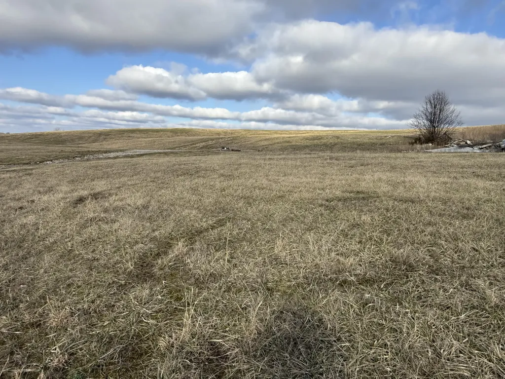 Lot 178 Thorntree Lane Lawrenceburg KY 40342