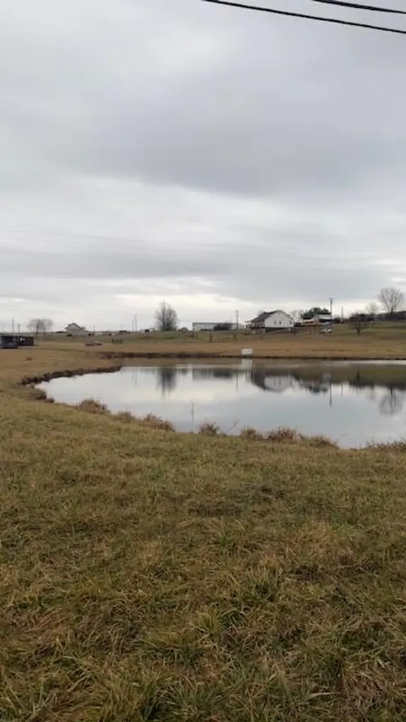 Tract 22 Highway 635 Science Hill KY 42553