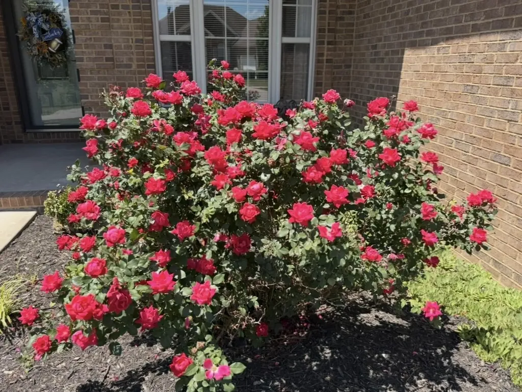 406 Red Square Court Richmond KY 40475