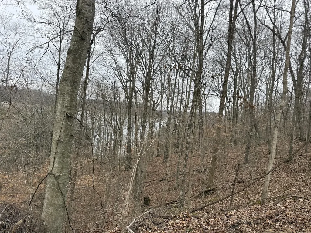 108 Ramsey Point Road Monticello KY 42633