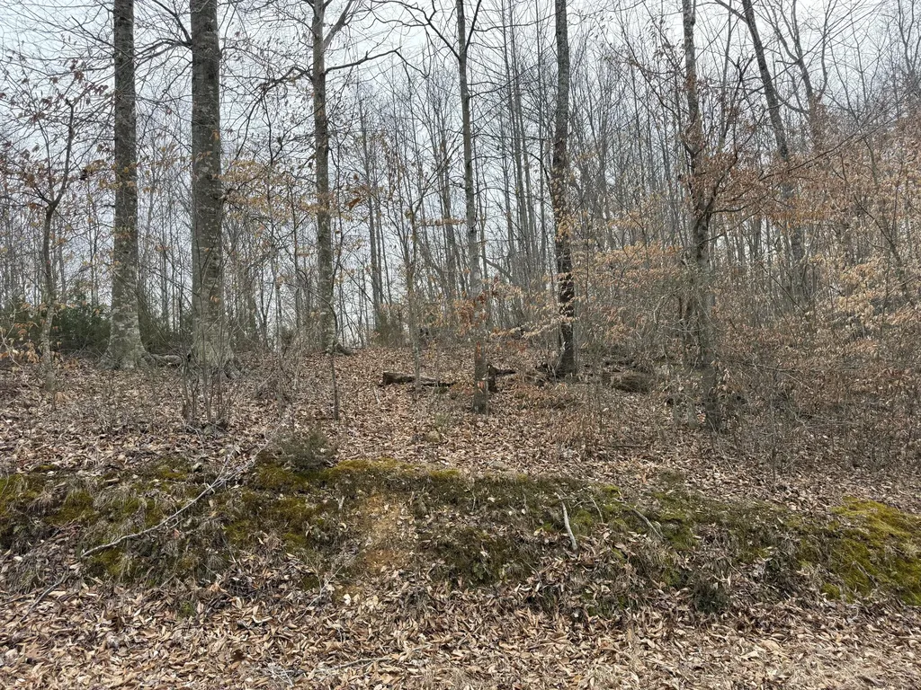 108 Ramsey Point Road Monticello KY 42633