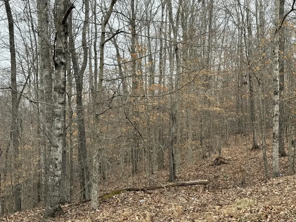 108 Ramsey Point Road Monticello KY 42633