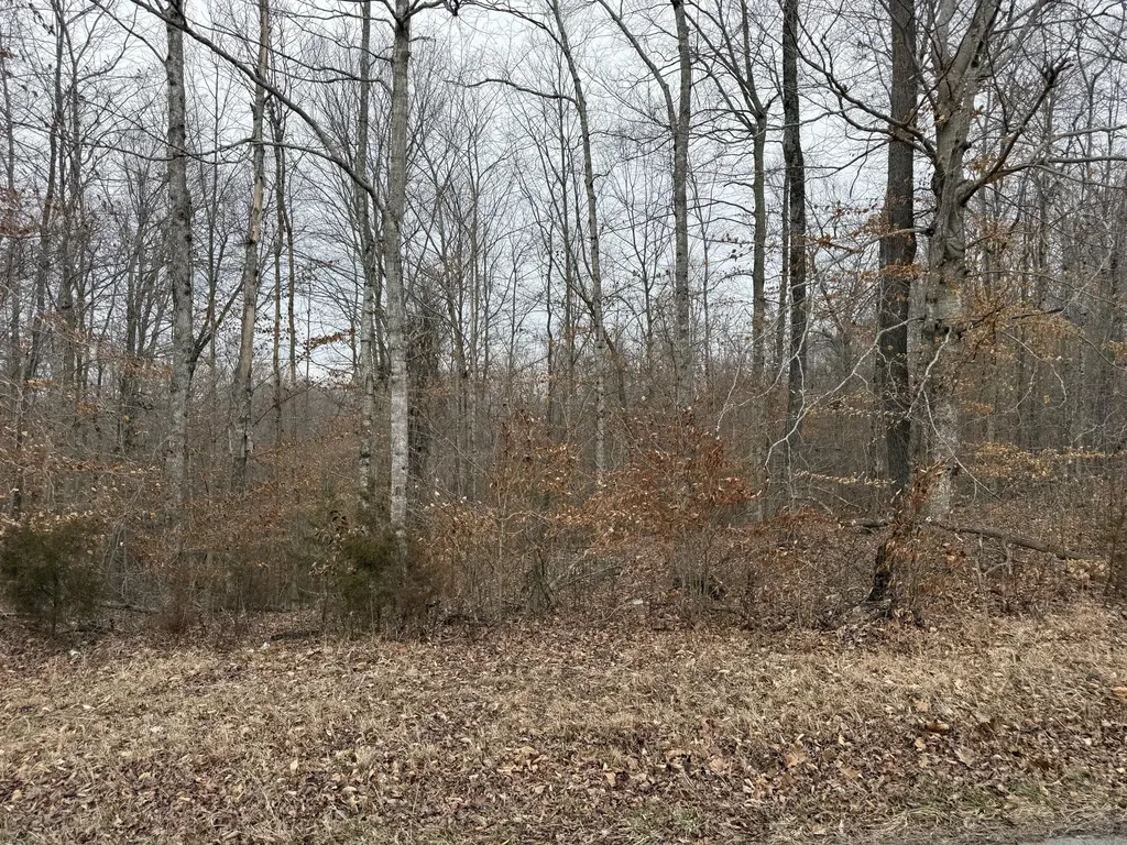 108 Ramsey Point Road Monticello KY 42633