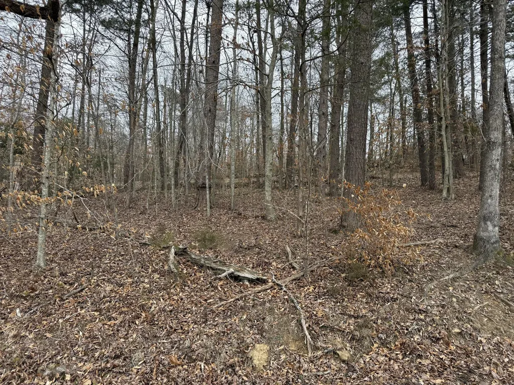 108 Ramsey Point Road Monticello KY 42633