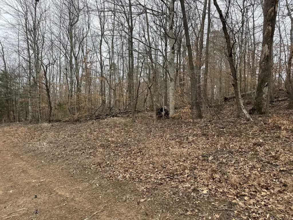108 Ramsey Point Road Monticello KY 42633