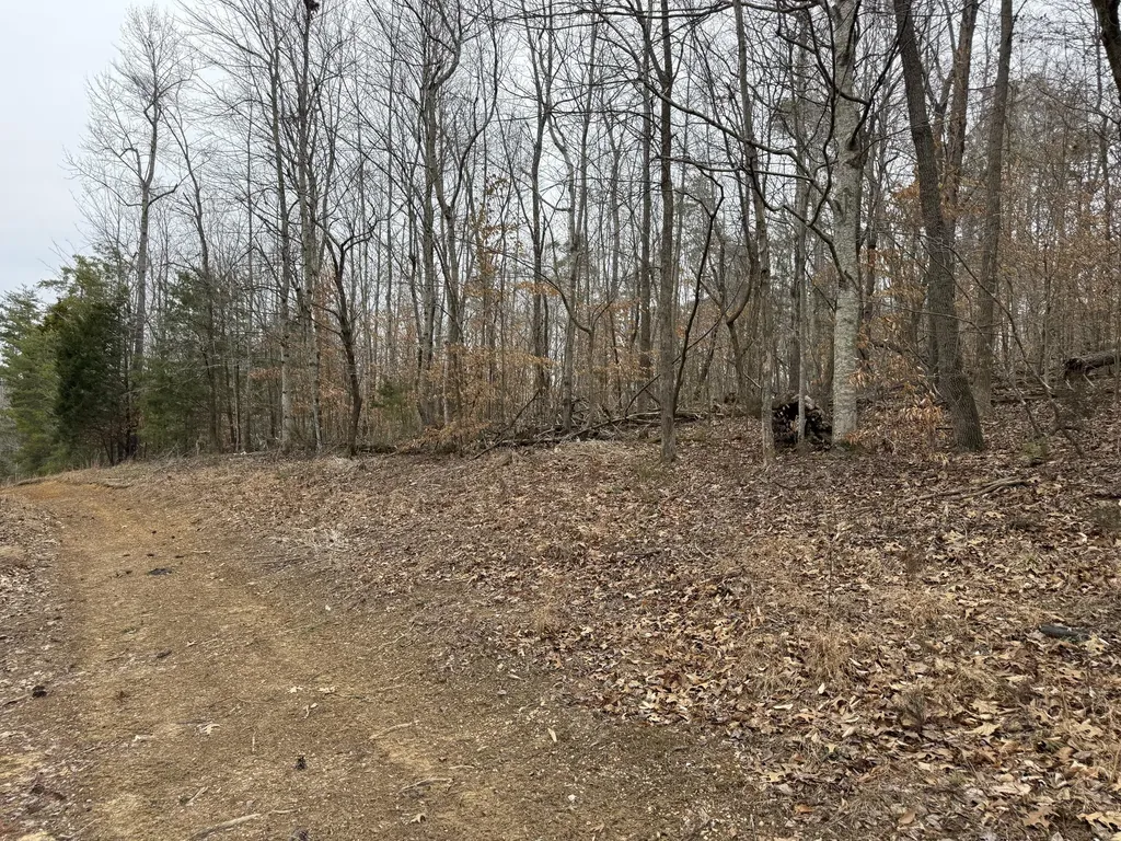 108 Ramsey Point Road Monticello KY 42633