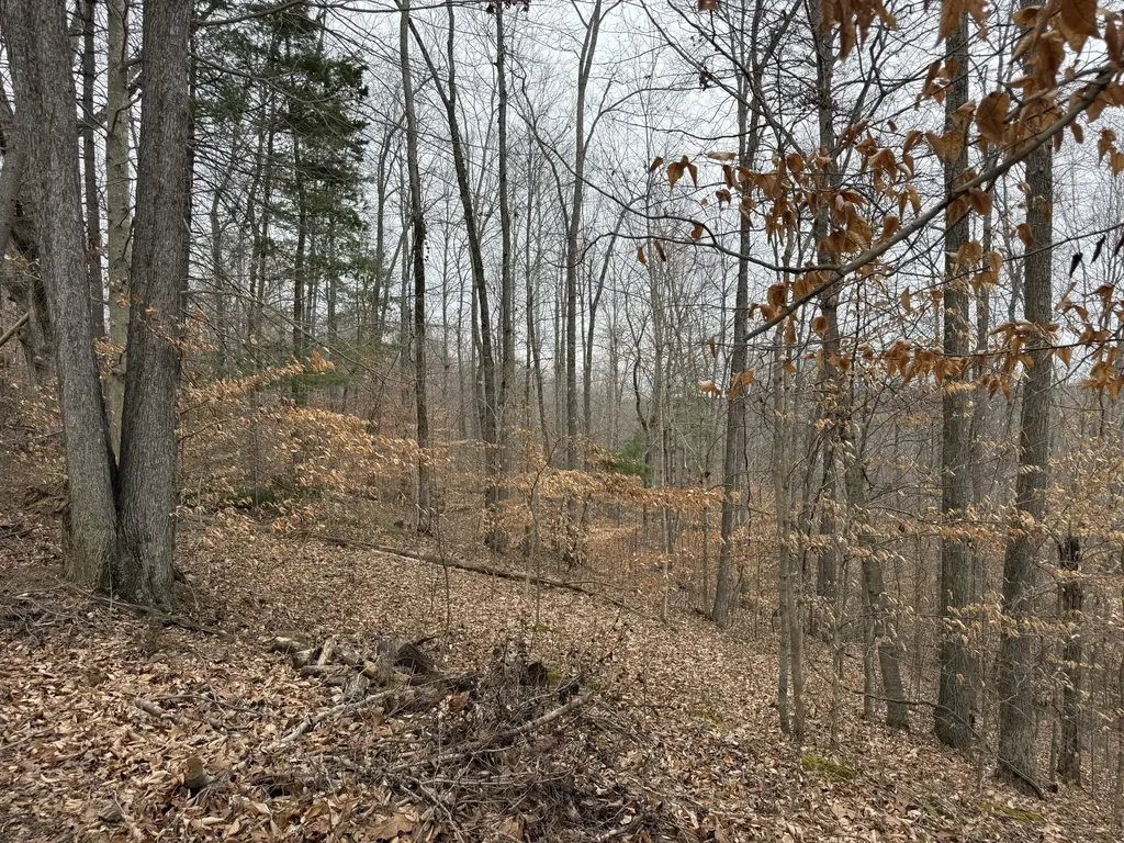 108 Ramsey Point Road Monticello KY 42633