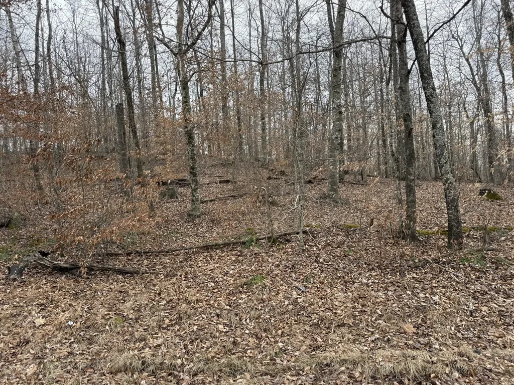 108 Ramsey Point Road Monticello KY 42633
