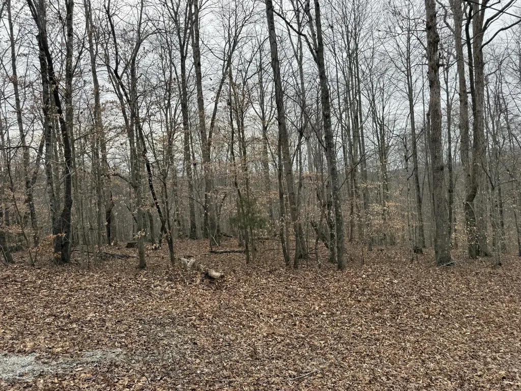 108 Ramsey Point Road Monticello KY 42633