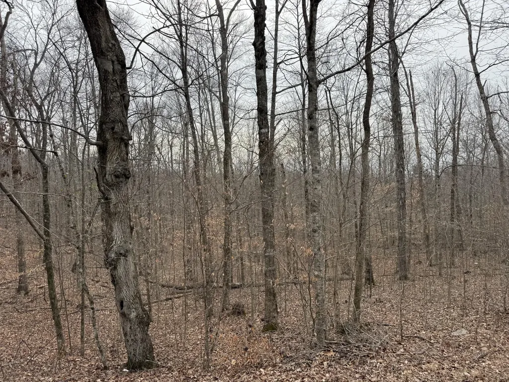108 Ramsey Point Road Monticello KY 42633