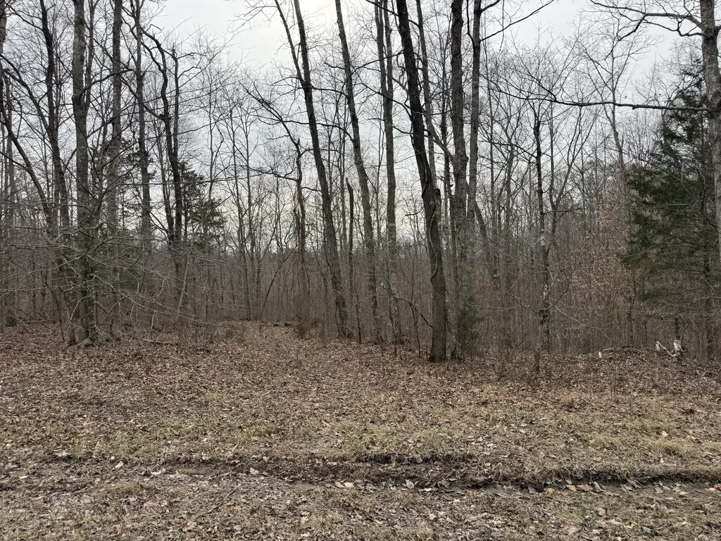 108 Ramsey Point Road Monticello KY 42633