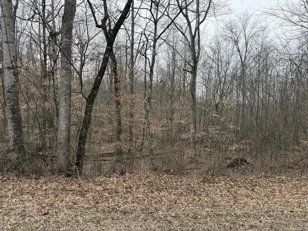 108 Ramsey Point Road Monticello KY 42633