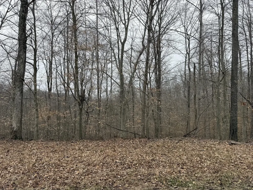 108 Ramsey Point Road Monticello KY 42633