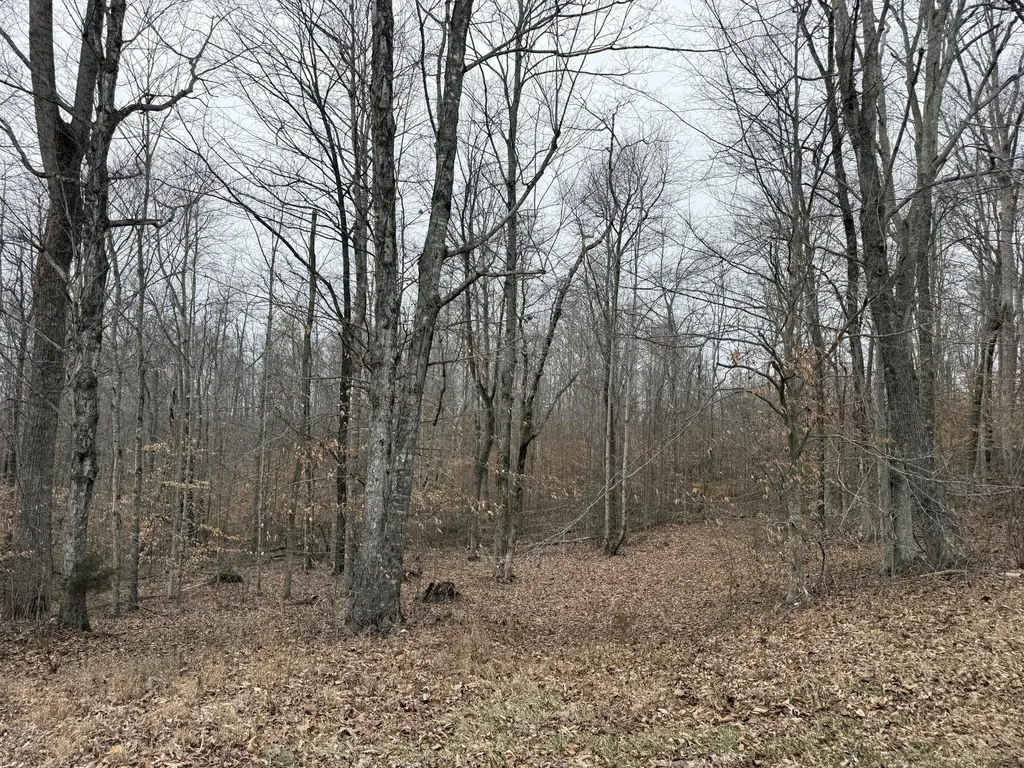 108 Ramsey Point Road Monticello KY 42633